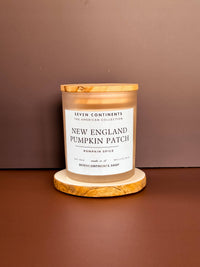 Pumpkin Patch Pumpkin Spice Soy Candle - White Frosted Glass
