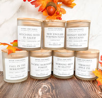 Pumpkin Patch Pumpkin Spice Soy Candle - White Frosted Glass