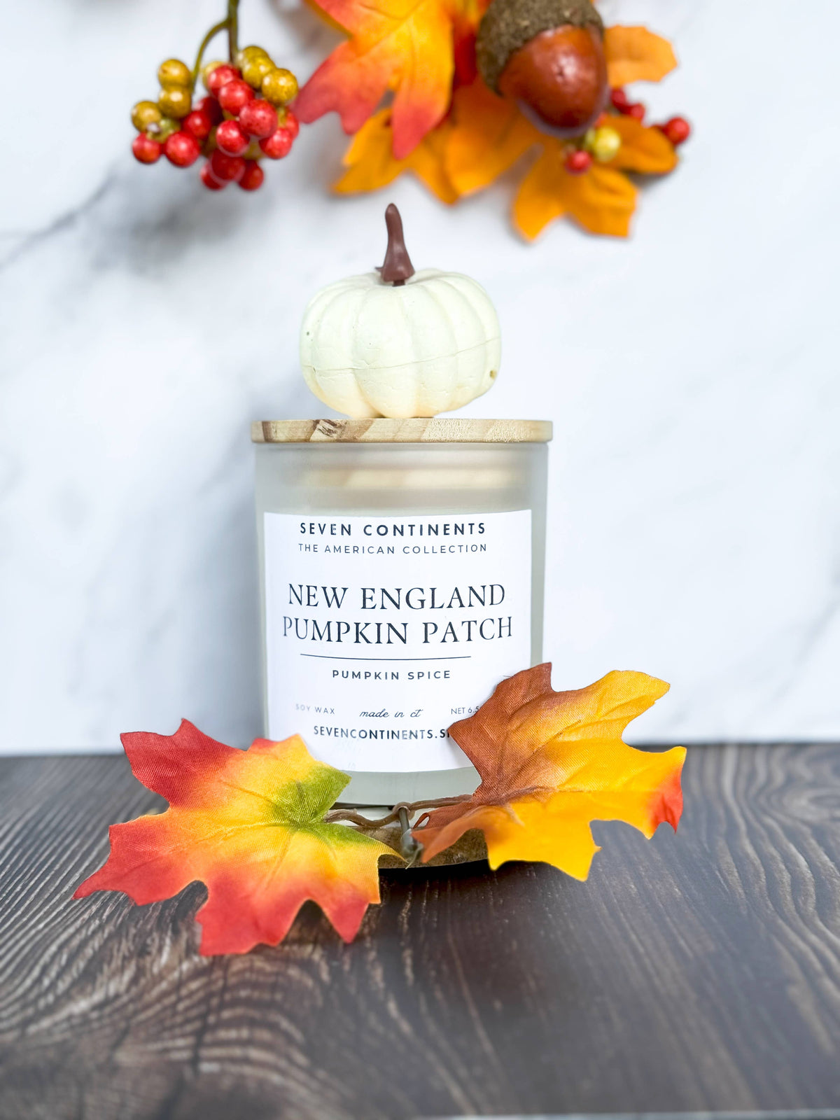 Pumpkin Patch Pumpkin Spice Soy Candle - White Frosted Glass