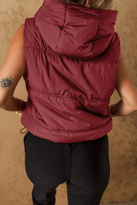 Clay Zip-up Side Pockets Hooded Puffer Vest LC853372-P8017
